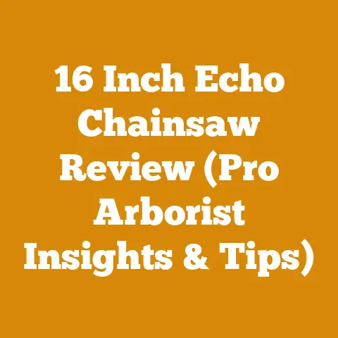 16 Inch Echo Chainsaw Review (Pro Arborist Insights & Tips)