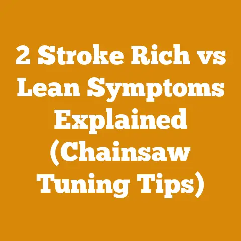 2 Stroke Rich vs Lean Symptoms Explained (Chainsaw Tuning Tips)