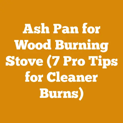 Ash Pan for Wood Burning Stove (7 Pro Tips for Cleaner Burns)