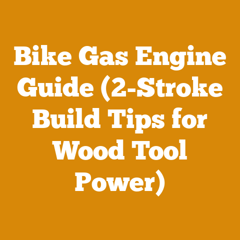 Bike Gas Engine Guide (2-Stroke Build Tips for Wood Tool Power)