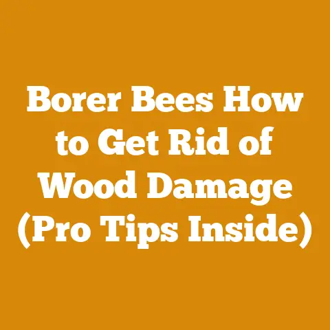 Borer Bees How to Get Rid of Wood Damage (Pro Tips Inside)