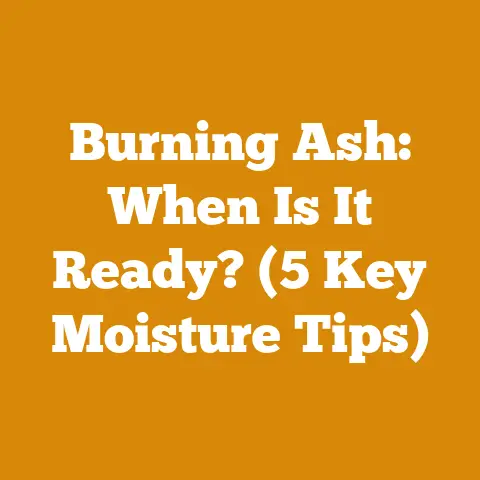 Burning Ash: When Is It Ready? (5 Key Moisture Tips)