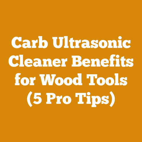 Carb Ultrasonic Cleaner Benefits for Wood Tools (5 Pro Tips)
