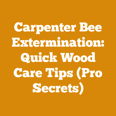 Carpenter Bee Extermination: Quick Wood Care Tips (Pro Secrets)