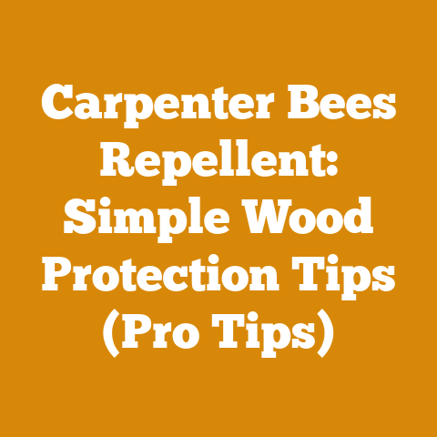 Carpenter Bees Repellent: Simple Wood Protection Tips (Pro Tips)