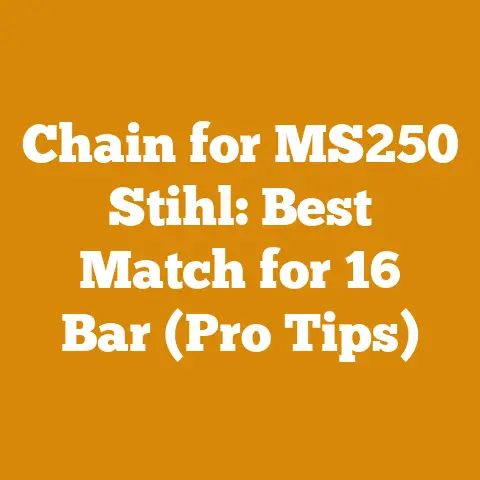 Chain for MS250 Stihl: Best Match for 16″ Bar (Pro Tips)