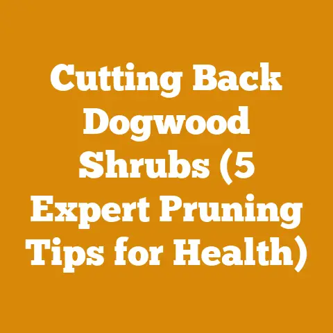 Cutting Back Dogwood Shrubs (5 Expert Pruning Tips for Health)