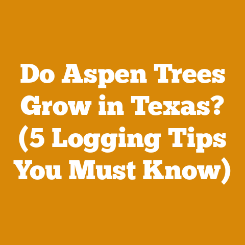 Do Aspen Trees Grow in Texas? (5 Logging Tips You Must Know)