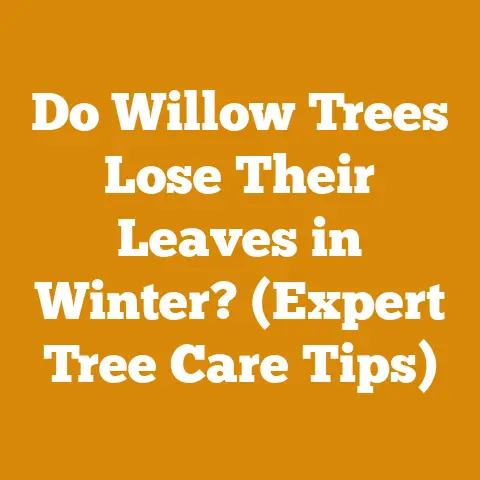 Do Willow Trees Lose Their Leaves in Winter? (Expert Tree Care Tips)