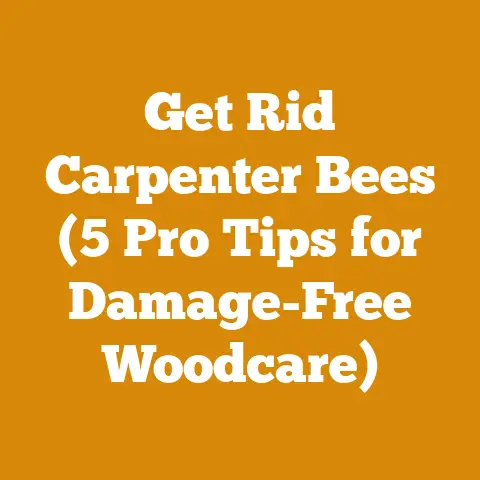 Get Rid Carpenter Bees (5 Pro Tips for Damage-Free Woodcare)