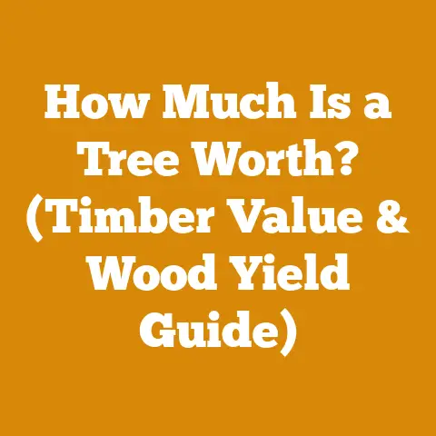 How Much Is a Tree Worth? (Timber Value & Wood Yield Guide)