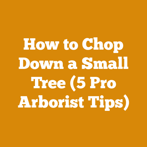 How to Chop Down a Small Tree (5 Pro Arborist Tips)