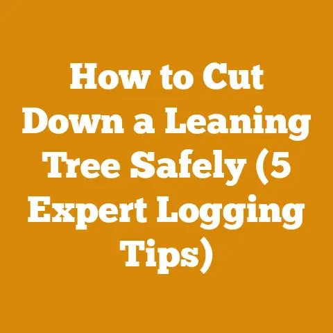 How to Cut Down a Leaning Tree Safely (5 Expert Logging Tips)