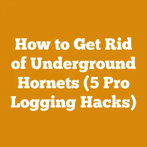 How to Get Rid of Underground Hornets (5 Pro Logging Hacks)