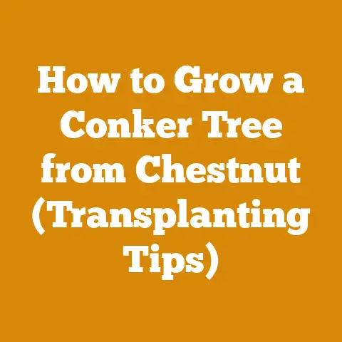How to Grow a Conker Tree from Chestnut (Transplanting Tips)
