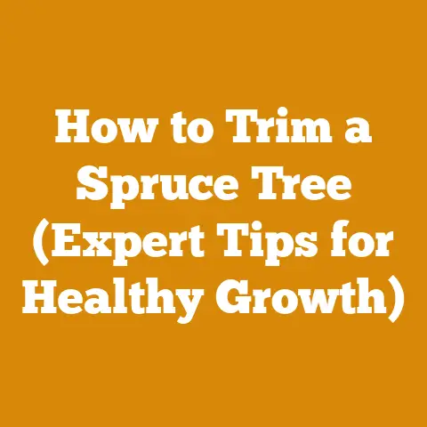 How to Trim a Spruce Tree (Expert Tips for Healthy Growth)