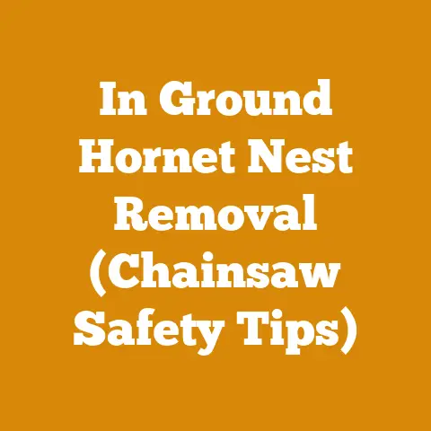 In Ground Hornet Nest Removal (Chainsaw Safety Tips)