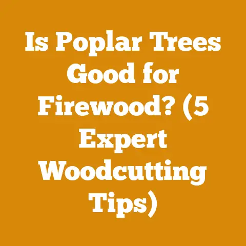 Is Poplar Trees Good for Firewood? (5 Expert Woodcutting Tips)