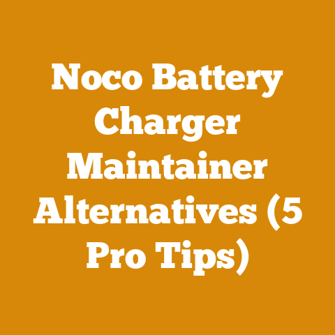 Noco Battery Charger Maintainer Alternatives (5 Pro Tips)