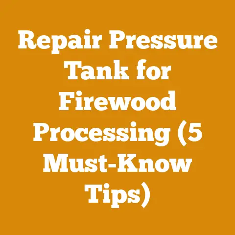 Repair Pressure Tank for Firewood Processing (5 Must-Know Tips)