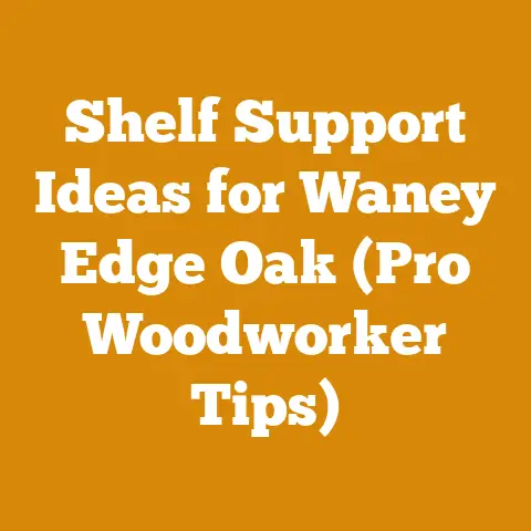 Shelf Support Ideas for Waney Edge Oak (Pro Woodworker Tips)