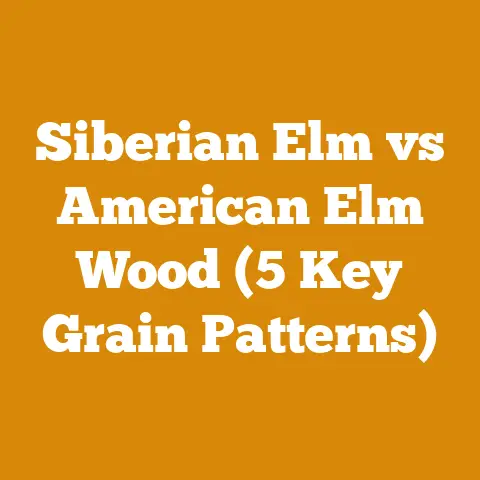 Siberian Elm vs American Elm Wood (5 Key Grain Patterns)
