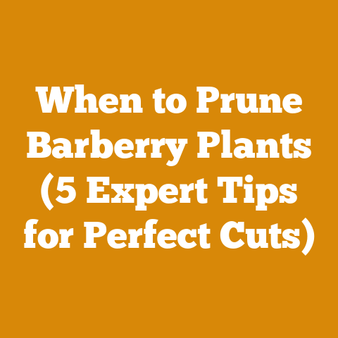 When to Prune Barberry Plants (5 Expert Tips for Perfect Cuts)