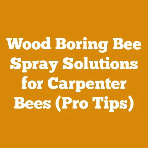 Wood Boring Bee Spray Solutions for Carpenter Bees (Pro Tips)