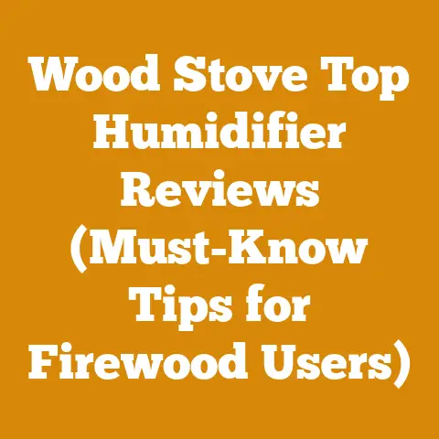 Wood Stove Top Humidifier Reviews (Must-Know Tips for Firewood Users)